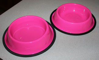 Two empty pink pet bowls with black rims on a gray surface.