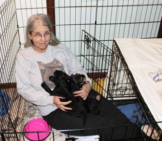 An elderly woman sitting inside a metal cage, holding a black puppy on her lap, with pet supplies nearby.