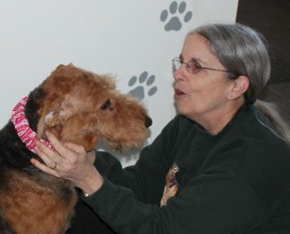 A woman in a green sweater lovingly gazes at a brown airedale terrier wearing a pink bandana, indoors with paw prints on the wall.