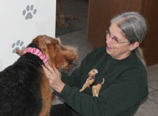 An elderly woman sitting on a floor, smiling as she pets a large brown dog wearing a pink collar and holds a small toy.