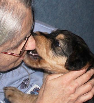 An elderly woman with glasses gently holding and touching noses with a small, brown and black dog.