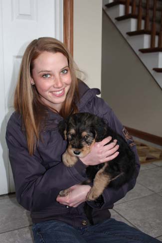 A young woman holding an Airedale terrier puppy