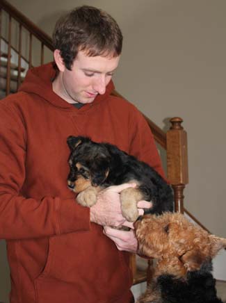 A young man holding an Airedale terrier puppy, the other dog looking