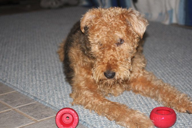 Charlotte sitting on the floor with toys