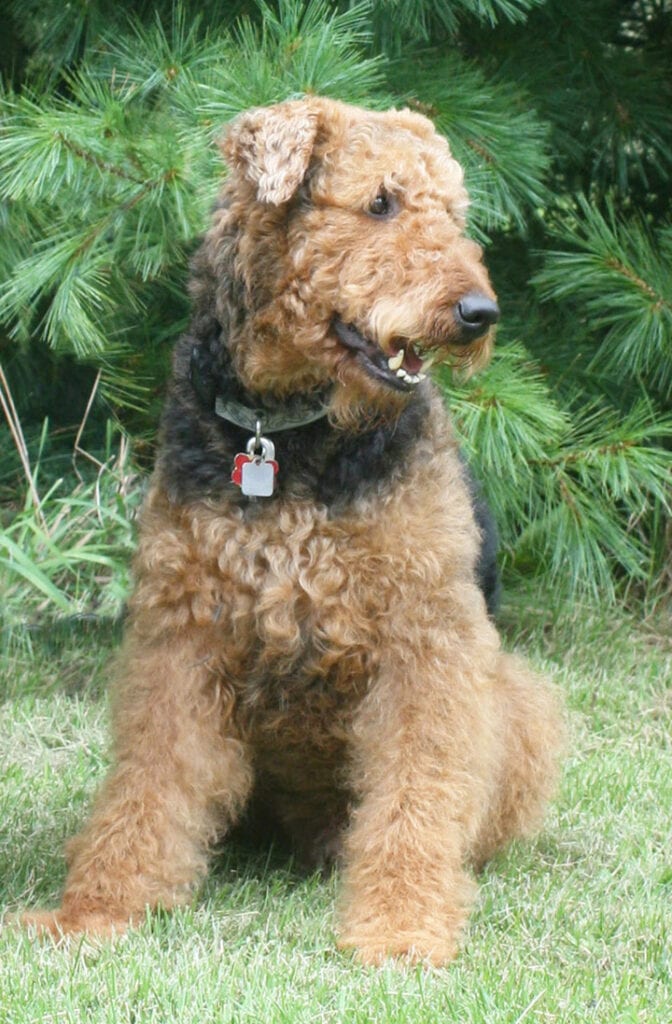 Elliot sitting on grass