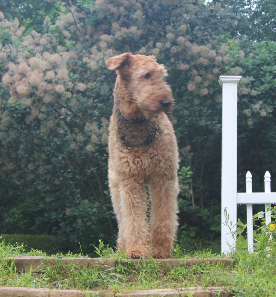 Grace looking at a distance