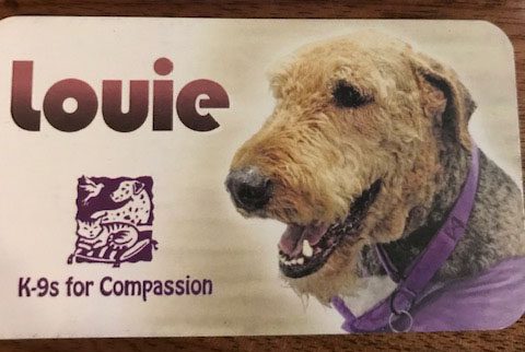 A card with Louie the dog