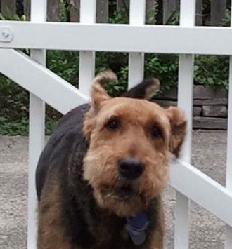 Maggy outside a gate