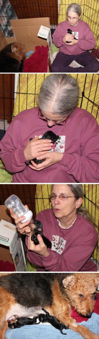 A collage of a woman holding a pup and feeding it milk from a bottle