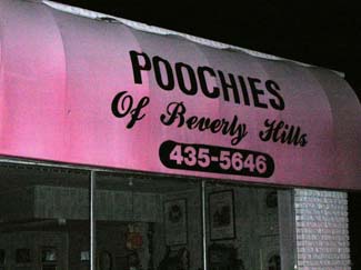 Illuminated sign for "poochies of beverly hills" with a phone number, displayed at night.