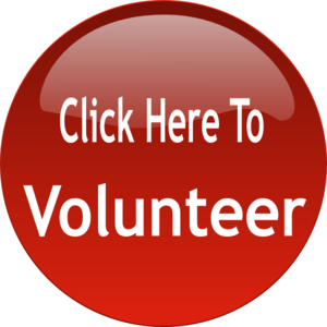 Red circular button with the text "click here to volunteer" in white lettering on a green background.