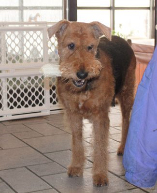 Charlotte holding a white chew toy