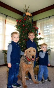 Three young boys and a medium-sized dog in front of a decorated christmas tree inside a living room.