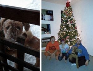 Airedale peering through snowy screen door