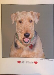 Portrait of smiling terrier with heart tag SOAR