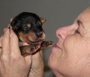 An old woman lifting a puppy near her face