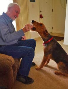 An elderly man in a blue shirt and jeans sitting on a chair, feeding a treat to a brown and black dog standing attentively.
