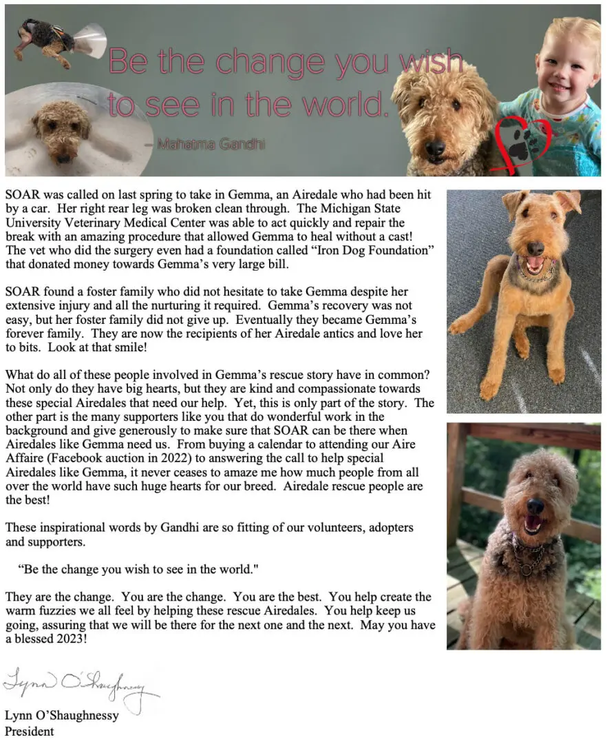 A collage featuring a boy with a golden retriever, a woman holding a dog, and a man with a toddler at a beach. text about veterinary medicine and dog rescue overlays some images.